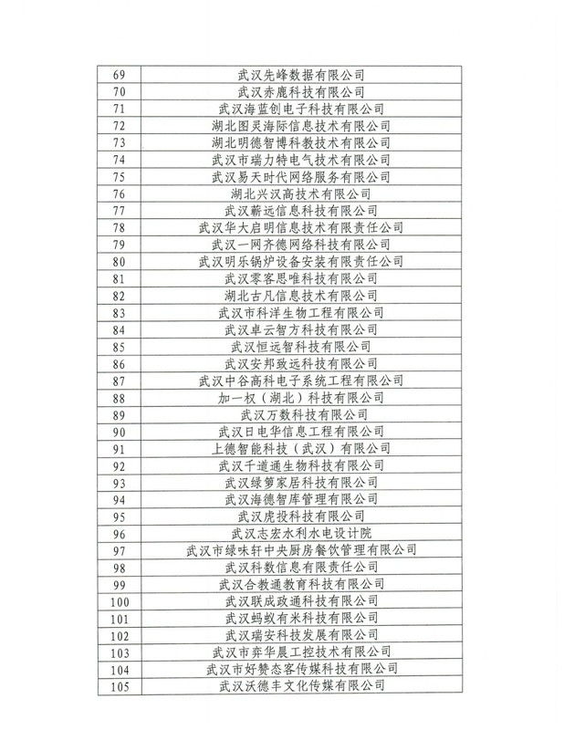 關(guān)于公布洪山區(qū)2020年度市科技“小巨人”認(rèn)定結(jié)果的通知_頁面_4.jpg