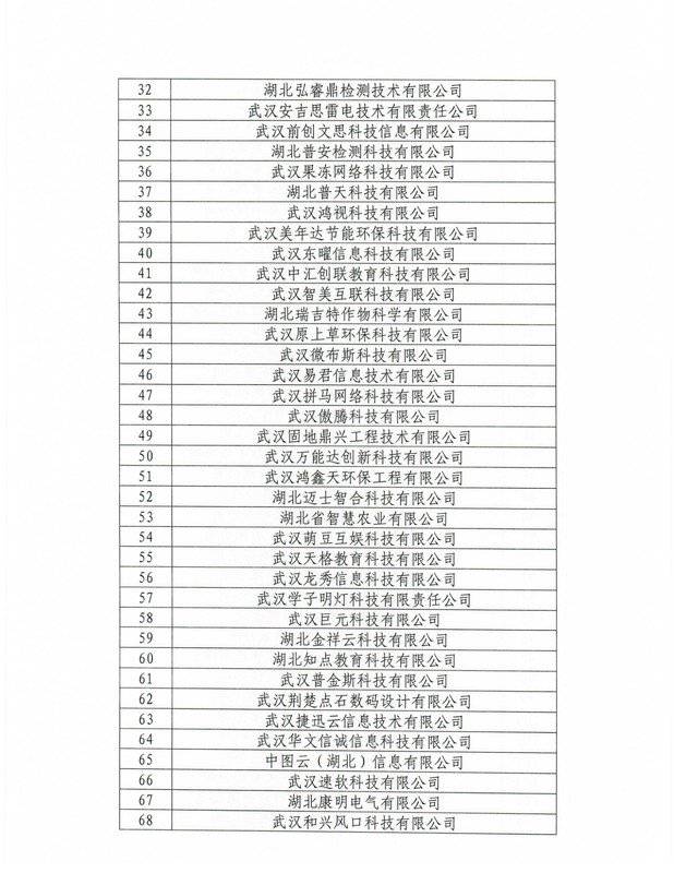 關(guān)于公布洪山區(qū)2020年度市科技“小巨人”認(rèn)定結(jié)果的通知_頁面_3.jpg