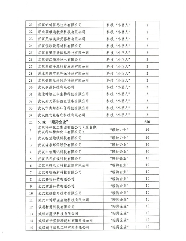 關(guān)于洪山區(qū)2020年科技企業(yè)梯次培育專(zhuān)項(xiàng)資金補(bǔ)貼的撥付通知_頁(yè)面_4.jpg